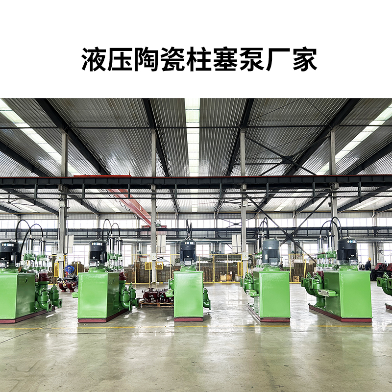 液壓陶瓷柱塞泵廠(chǎng)家6